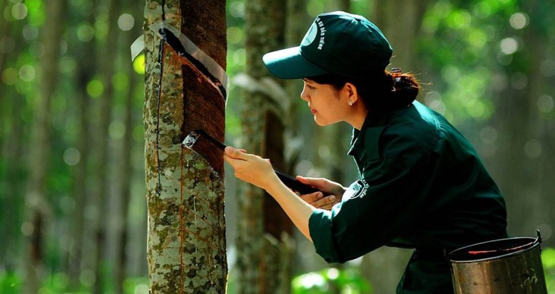 DRI: Vượt kế hoạch năm nhờ kết quả kinh doanh quý III khởi sắc