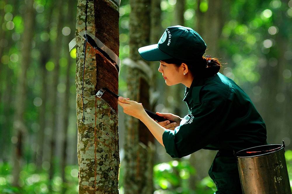 DRI: Vượt kế hoạch năm nhờ kết quả kinh doanh quý III khởi sắc
