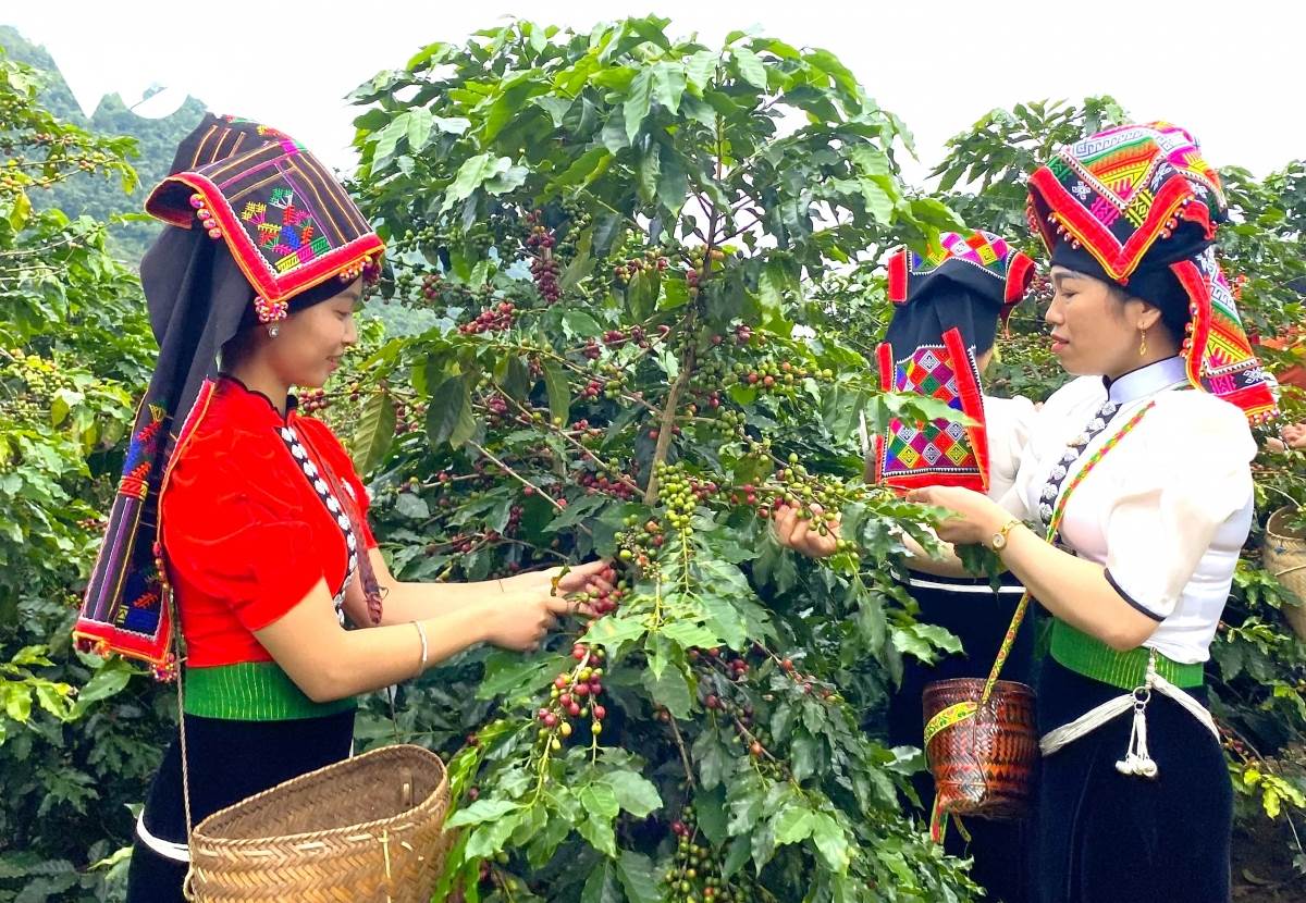 Quỹ ngoại đầu tư không hoàn lại và dành lời khen “có cánh” cho Tập đoàn Phúc Sinh