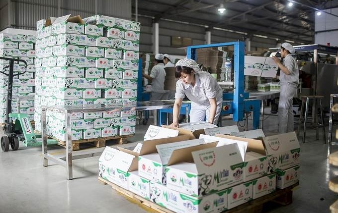 MCM: Lợi nhuận quý 3/2024 của Mộc Châu Milk lao dốc không phanh