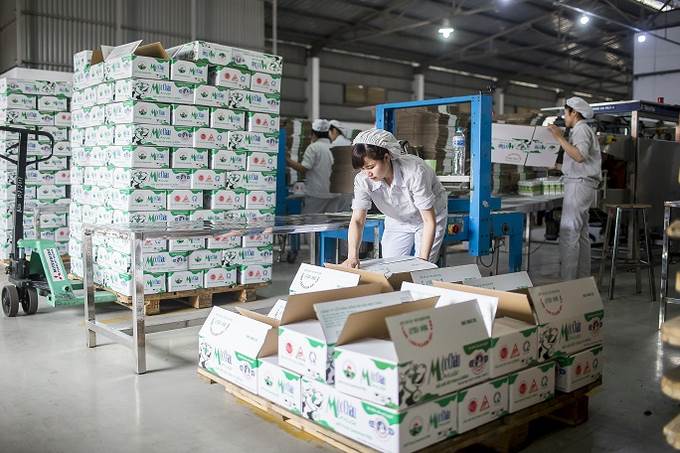 MCM: Lợi nhuận quý 3/2024 của Mộc Châu Milk lao dốc không phanh