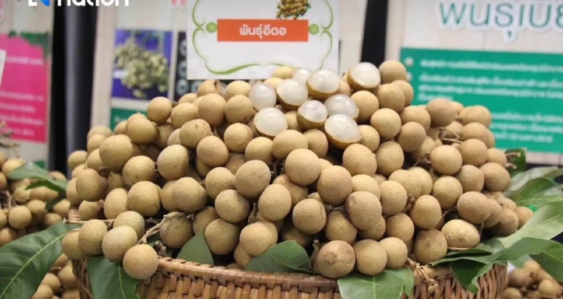 Nước xuất khẩu nông sản số 1 ASEAN chuyển hướng, muốn tăng gấp 3 lần thu nhập cho nông dân