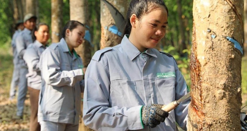 Thaco Agri của tỷ phú Trần Bá Dương muốn tuyển thêm 21.000 nhân sự từ nay đến 2025