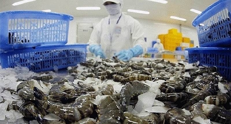 Xuất khẩu tôm sang Mỹ tăng mạnh nhưng còn đó nỗi lo