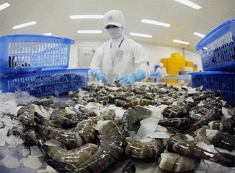 Xuất khẩu tôm sang Mỹ tăng mạnh nhưng còn đó nỗi lo