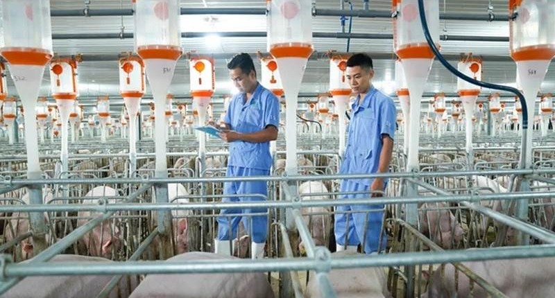 BAF: Liên tiếp thâu tóm công ty lĩnh vực chăn nuôi, BAF làm ăn sao?