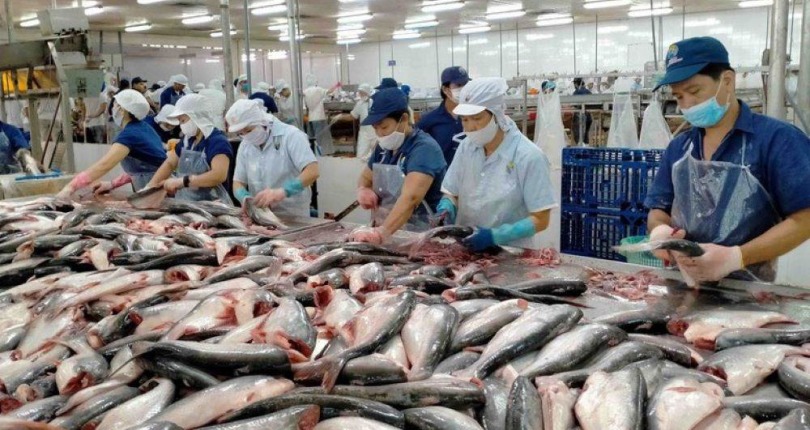Cơ hội và thách thức cho thủy sản Việt Nam tại thị trường Mỹ