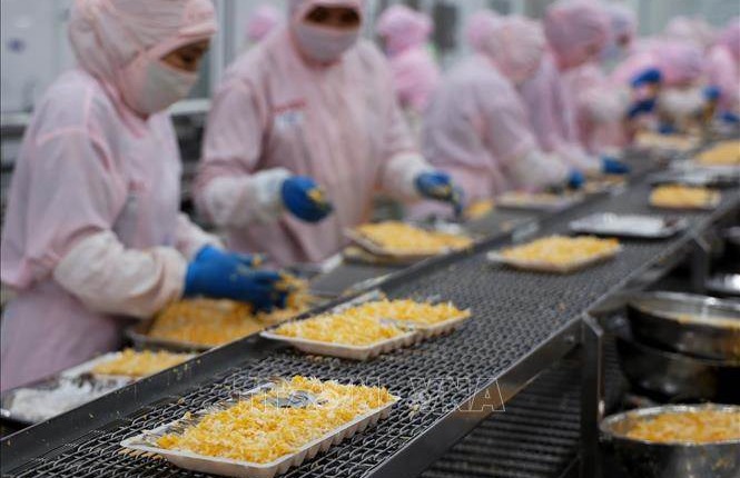 Xuất khẩu thủy sản tăng tốc trở lại, tự tin vượt mục tiêu 10 tỷ USD
