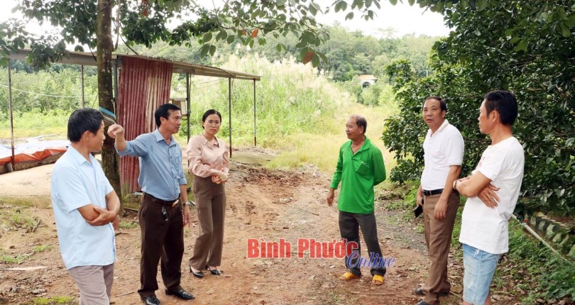 Trại heo ở Đồng Tâm sẽ khắc phục ô nhiễm