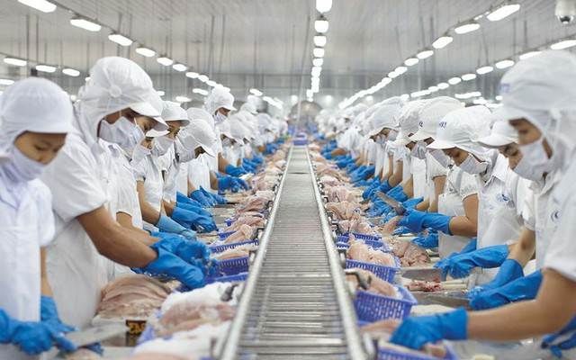 VHC: Doanh thu từ thị trường Mỹ của Vĩnh Hoàn tăng vọt