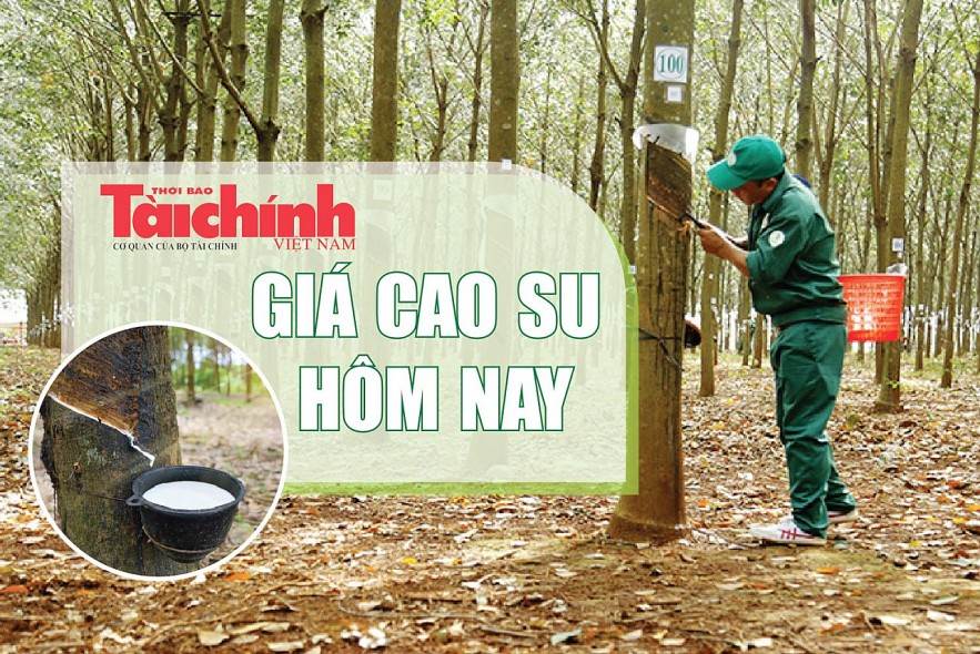 Ngày 18/12: Giá cao su tăng – giảm trái chiều trên sàn Tocom và SHFE