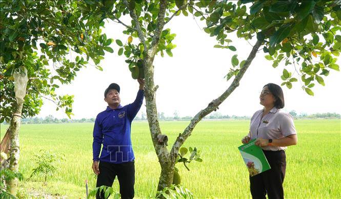 Tín dụng chính sách – trợ lực phát triển kinh tế cho người dân