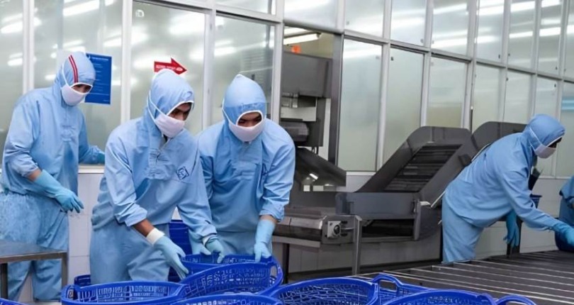 FMC: Sao Ta vượt gần 9% kế hoạch doanh số năm trong 11 tháng