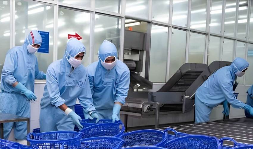 FMC: Sao Ta vượt gần 9% kế hoạch doanh số năm trong 11 tháng