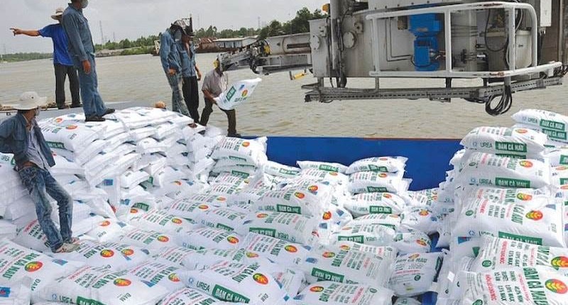 Triển vọng sáng của doanh nghiệp ngành phân bón năm 2025
