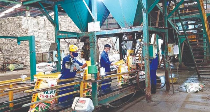 Công ty CP Vật tư Kỹ thuật Nông nghiệp Bình Định: Đẩy mạnh ứng dụng khoa học công nghệ vào sản xuất