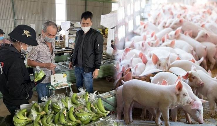 HAG: 3 năm liên tiếp lãi nghìn tỷ, lỗ lũy kế của HAGL còn bao nhiêu?
