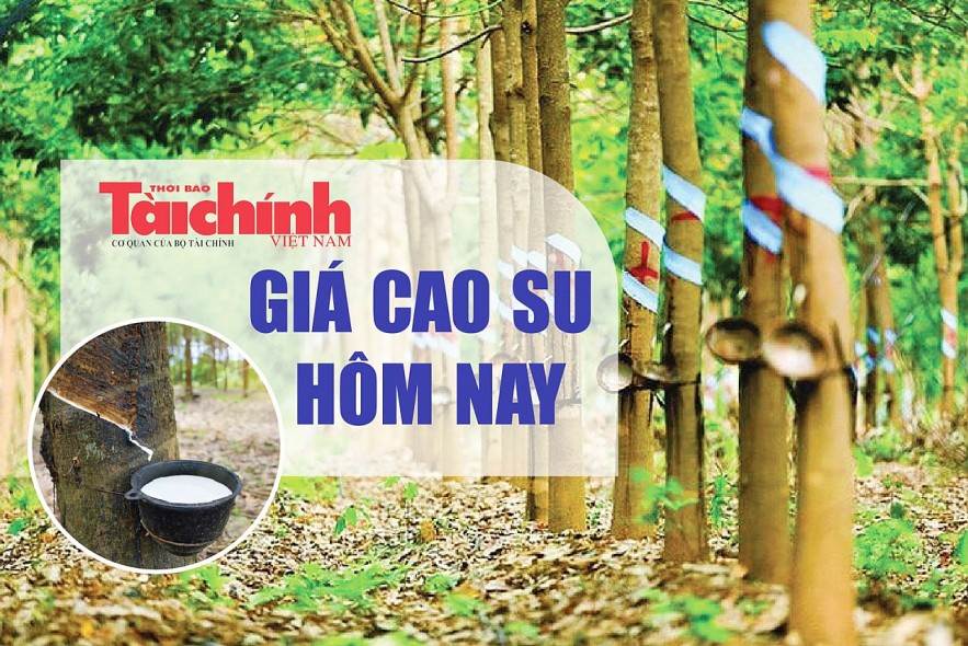 Ngày 10/1: Giá cao su thế giới hồi phục, trong nước biến động nhẹ