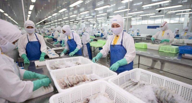 FMC: Sao Ta ước lãi cao nhất lịch sử