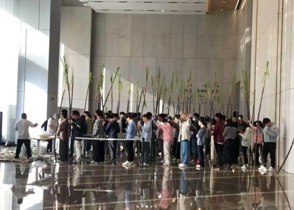 Một tập đoàn công nghệ trăm tỷ USD thưởng mía cho nhân viên dịp cuối năm