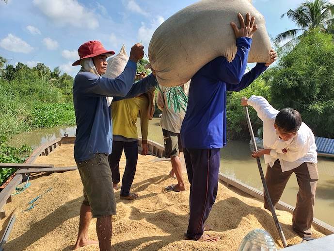 Doanh nghiệp xuất khẩu gạo ủy thác gặp khó với quy định mới