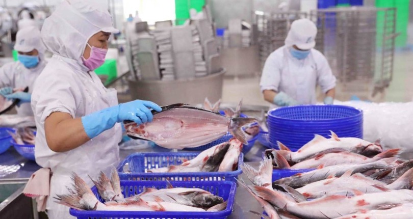 Triển vọng tích cực cho xuất khẩu thủy sản trong năm 2025