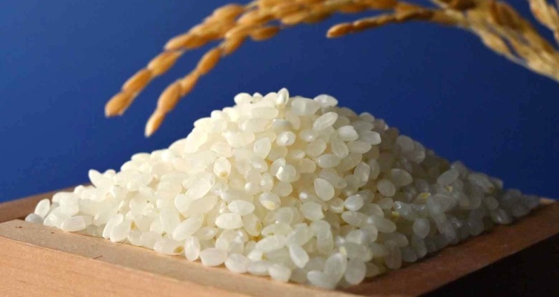 Giá loại “hạt vàng” này tăng mạnh nhất nửa thế kỷ đẩy lạm phát tại Nhật Bản tăng trên 3% trong 4 tháng liên tiếp