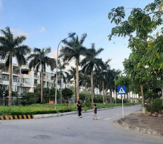 Nhà thấp tầng, đất thổ cư Hà Nội “đua” tăng giá