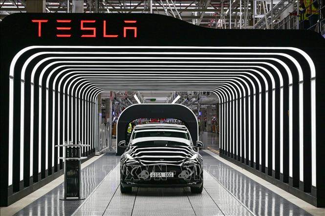 Tesla lùi thời điểm ra mắt xe Model Y giá rẻ