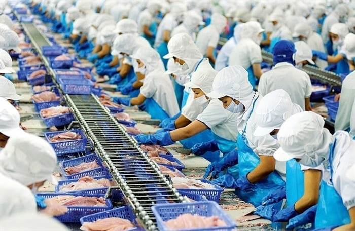 VHC: Vĩnh Hoàn lạc quan về thị trường Hoa Kỳ dù đưa ra kịch bản kinh doanh thận trọng