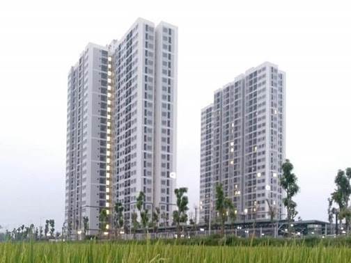 9x nghìn tỷ nắm quyền chi phối tại Việt An