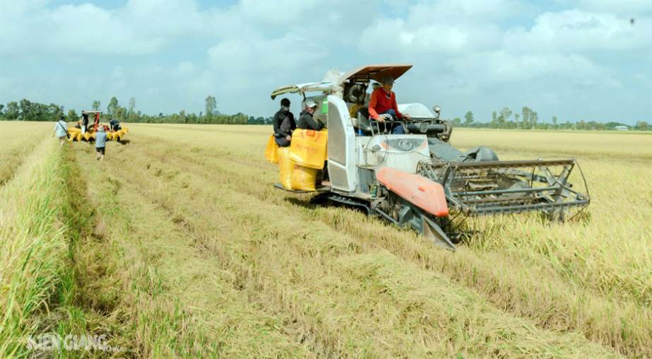 Quỹ hỗ trợ nông dân tỉnh giải ngân 1,6 tỷ đồng hỗ trợ nông dân phát triển sản xuất