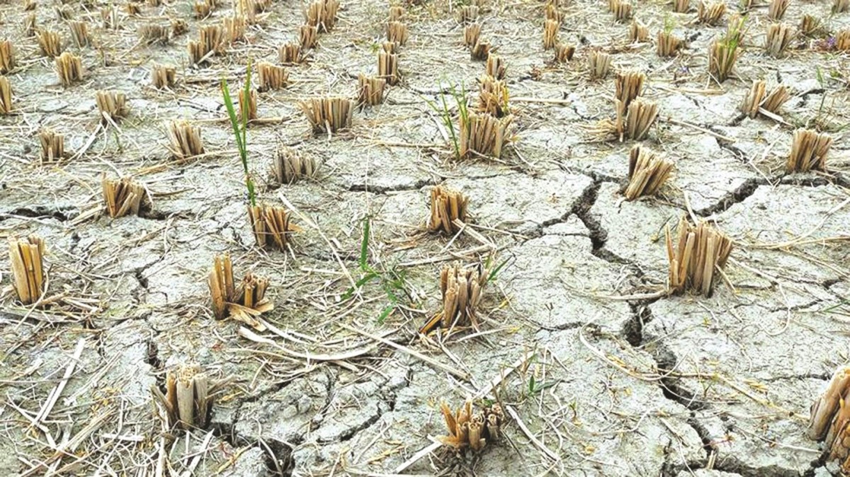 Mối đe dọa lạm phát lớn hơn thuế quan