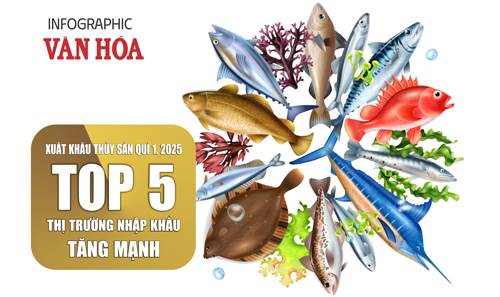 (Infographic) Xuất khẩu thủy sản quí 1.2025: Top 5 thị trường nhập khẩu tăng mạnh