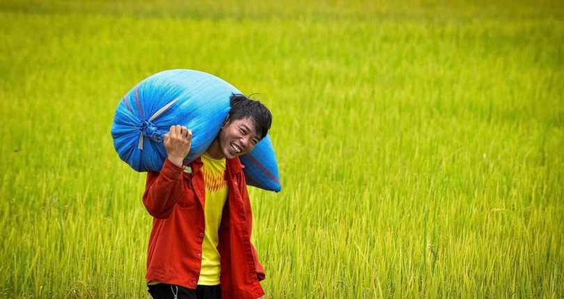 Krông Nô triển vọng thành điểm sáng nông nghiệp công nghệ cao