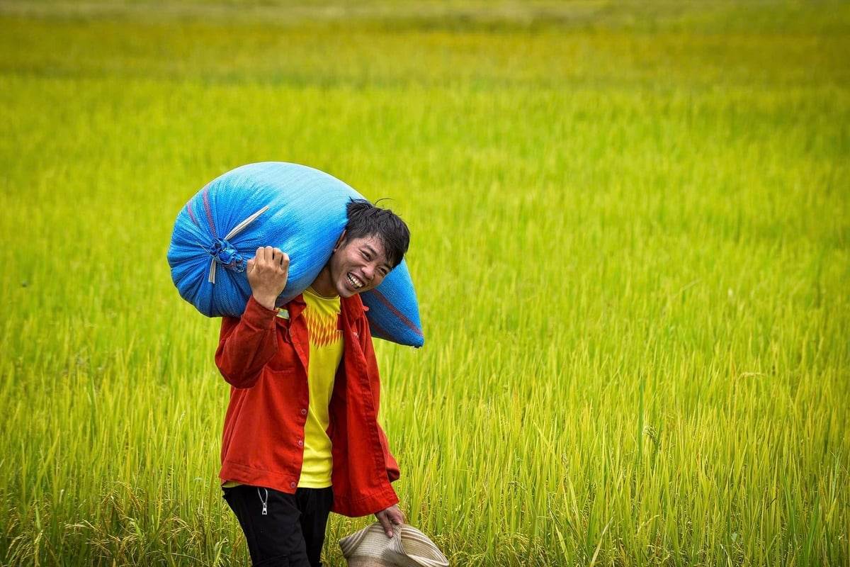 Krông Nô triển vọng thành điểm sáng nông nghiệp công nghệ cao