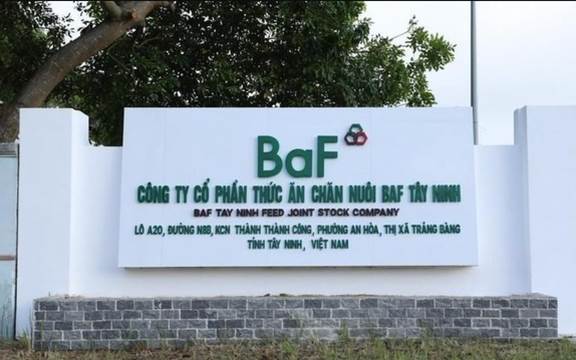 BAF: Thâu tóm thêm một công ty tại Gia Lai, dự kiến không chia cổ tức
