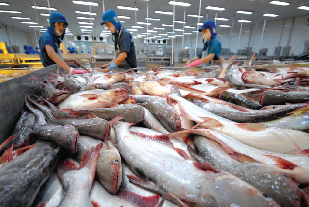 Thủ tướng chỉ đạo mở rộng gói tín dụng ưu đãi cho thủy hải sản