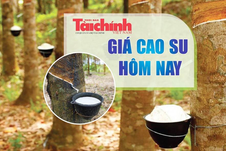 Ngày 11/4: Giá cao su trên sàn giao dịch Osaka – Nhật Bản tăng trở lại