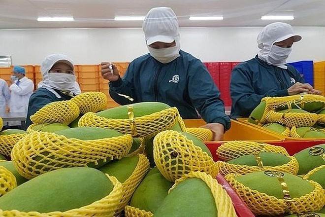 Những việc doanh nghiệp nên làm khi Mỹ hoãn áp thuế đối ứng
