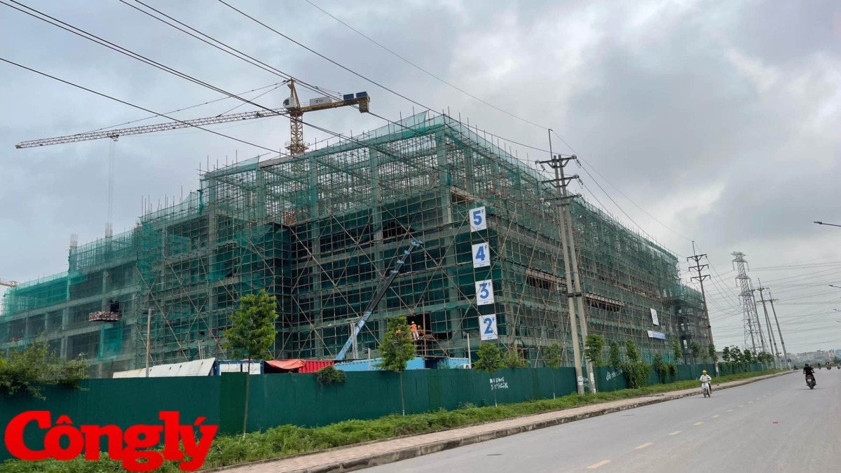 Bất động sản Việt Nam tăng tốc từ quý II/2025: Tín hiệu phục hồi rõ rệt và cuộc đua mới bắt đầu