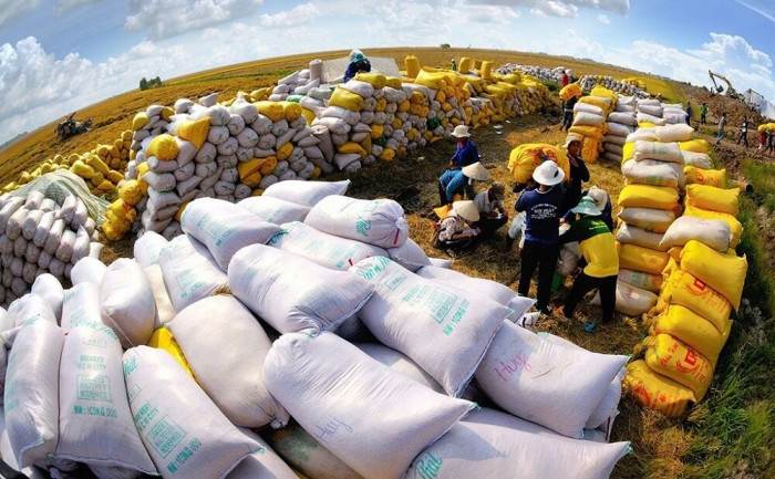 Những địa phương vùng Đồng bằng sông Hồng có thương mại trên 10 tỷ USD