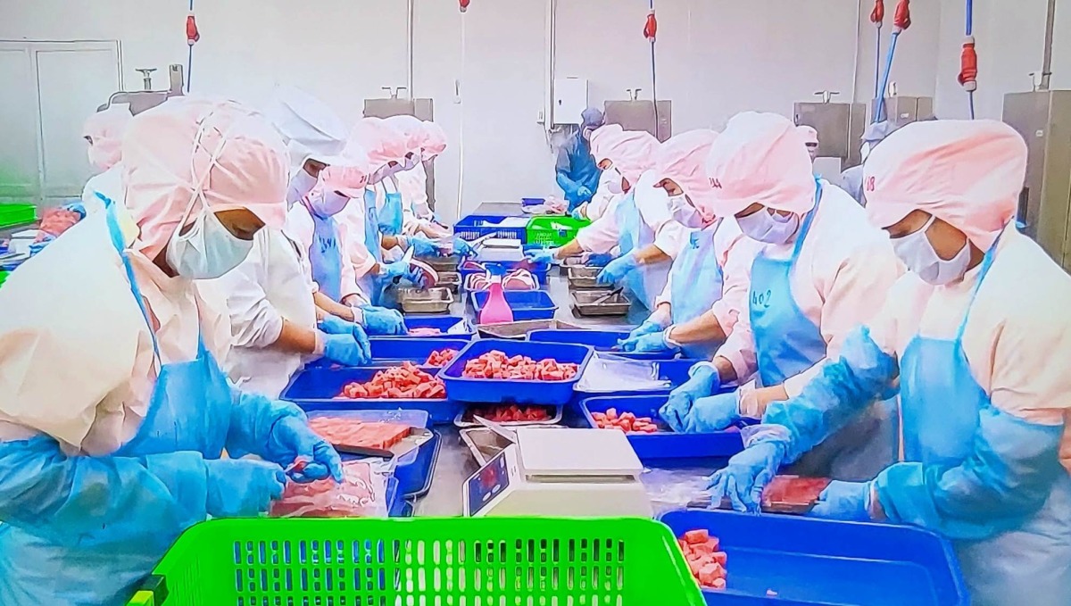 Xuất khẩu thủy sản phục hồi ấn tượng