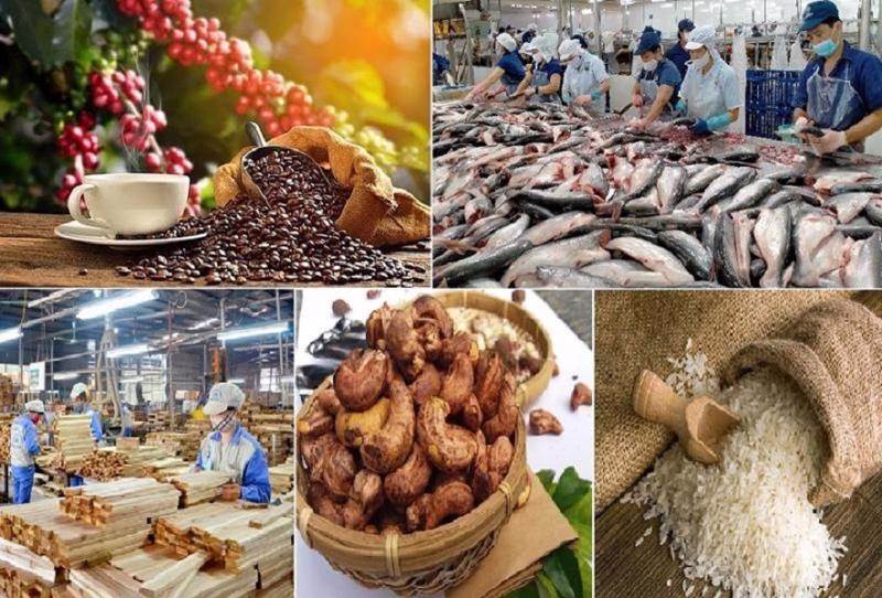 Mở rộng phạm vi, đối tượng của Chương trình tín dụng đối với lĩnh vực lâm sản, thủy sản