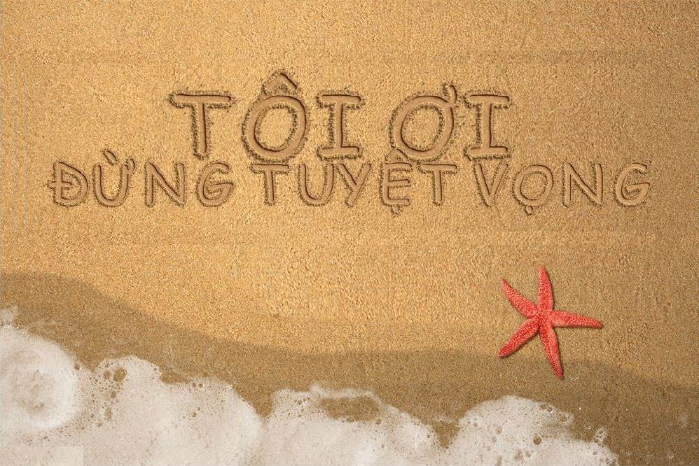 Tại sao cổ phiếu SZC vẫn giảm khi báo lãi ròng quý 1/2025 tăng 106%, ký mới 3 MOU gần 10ha ?