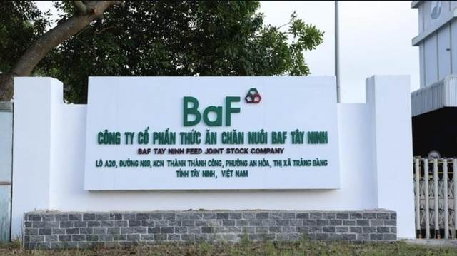 BAF: Lợi nhuận tăng mạnh, cổ đông BaF Việt Nam vẫn “nhịn” cổ tức