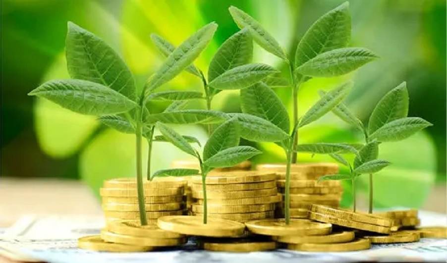 Danh mục phân loại xanh – nền tảng pháp lý cho tín dụng xanh tăng tốc