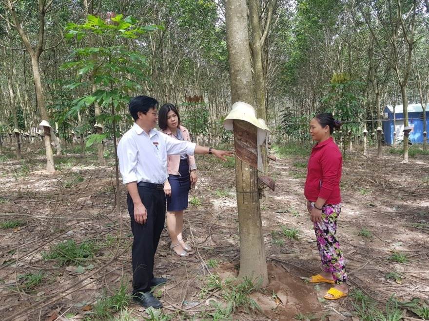 Trao cơ hội cho phụ nữ làm chủ kinh tế