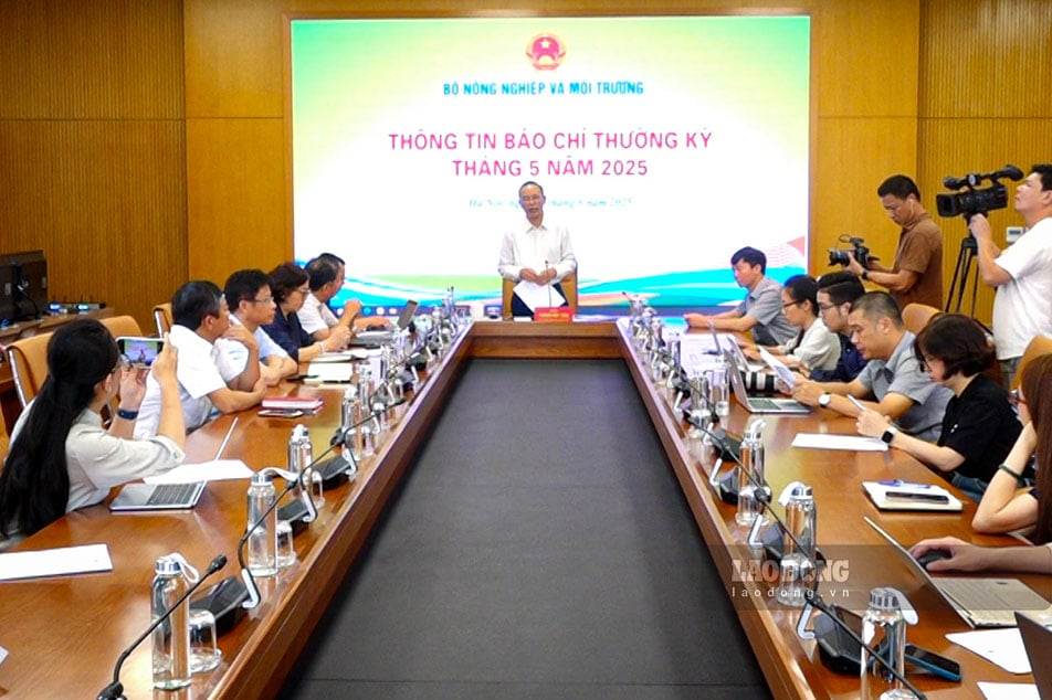 Công ty C.P Việt Nam xử lý thịt lợn bệnh cho cá ăn là không phù hợp