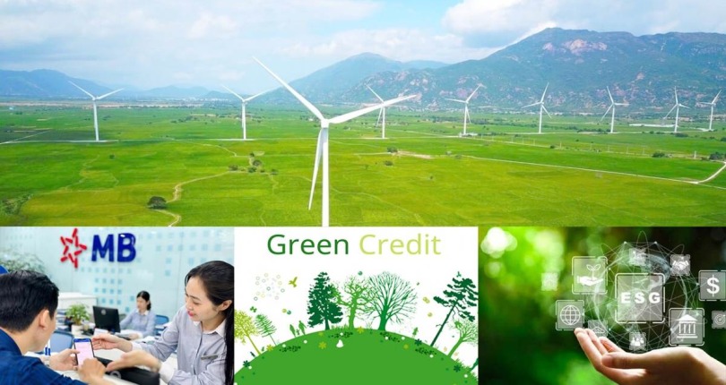 MBB: Dư nợ tín dụng xanh đạt 65.063 tỷ đồng, chiếm 8,5% tổng tín dụng